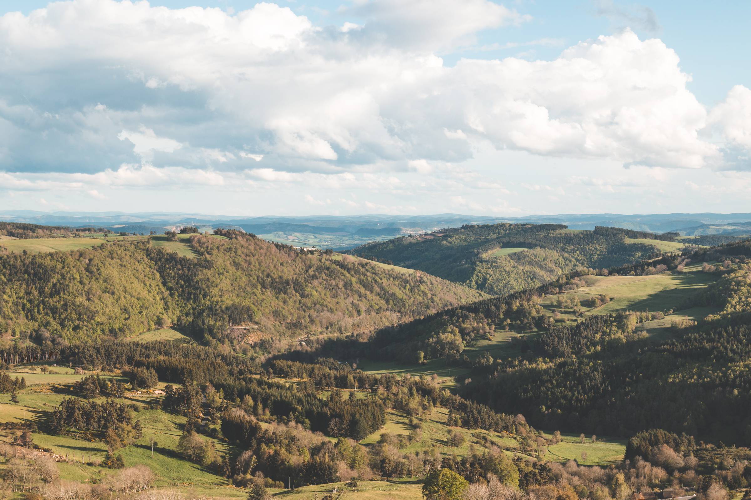 Photo de MONTAGNE DE LA MARGERIDE