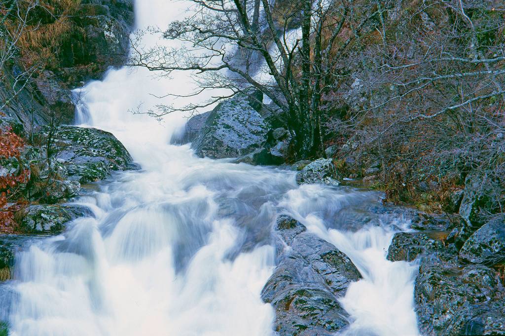 Photo de LES GARDONS CEVENOLS