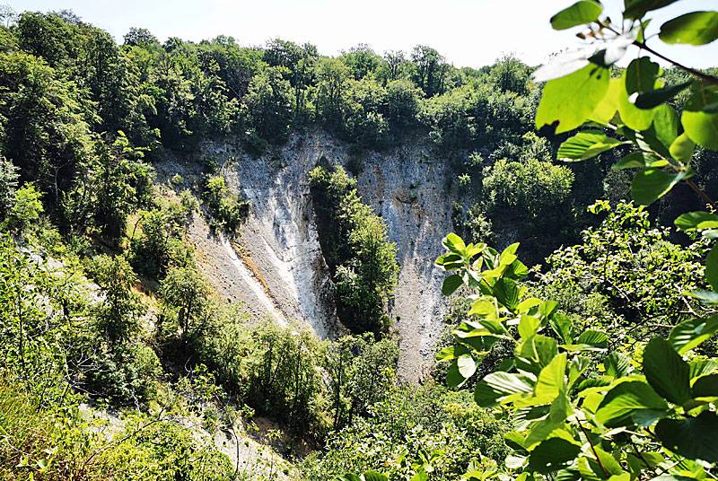Photo de LE CUL DU CERF