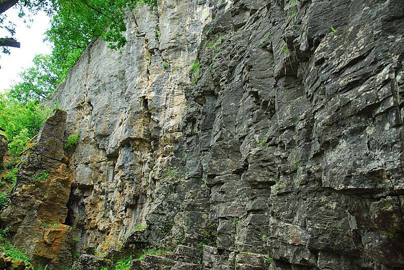 Photo de FALAISES DE COHONS