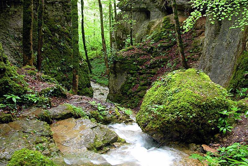 Photo de GORGES DE LA VINGEANNE