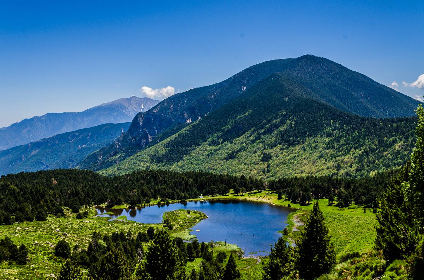 Photo : RESERVE NATURELLE DE NOHEDES