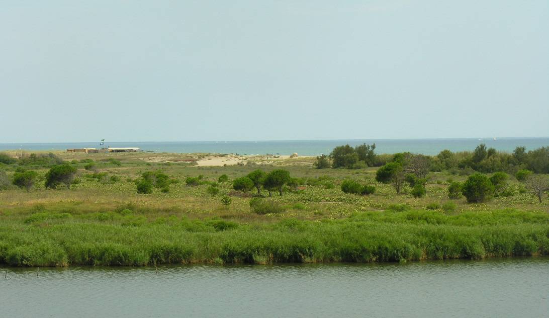 Photo : PLAGE SUD