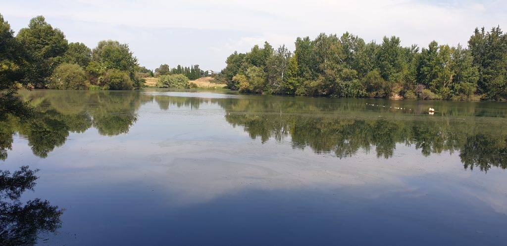 Photo : LE LAC DES BOUZIGUES