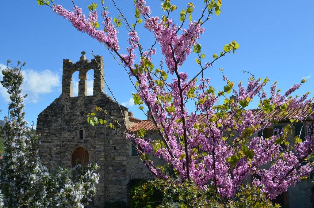 Photo : PRIEURE NOTRE DAME DE RIQUER
