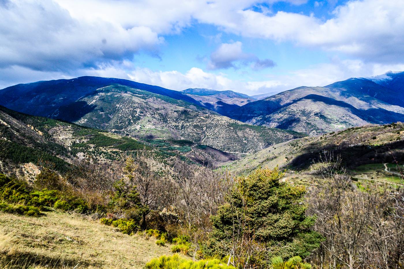 Photo : RESERVE NATURELLE REGIONALE DE NYER