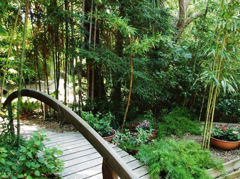 Photo : LE JARDIN EXOTIQUE
