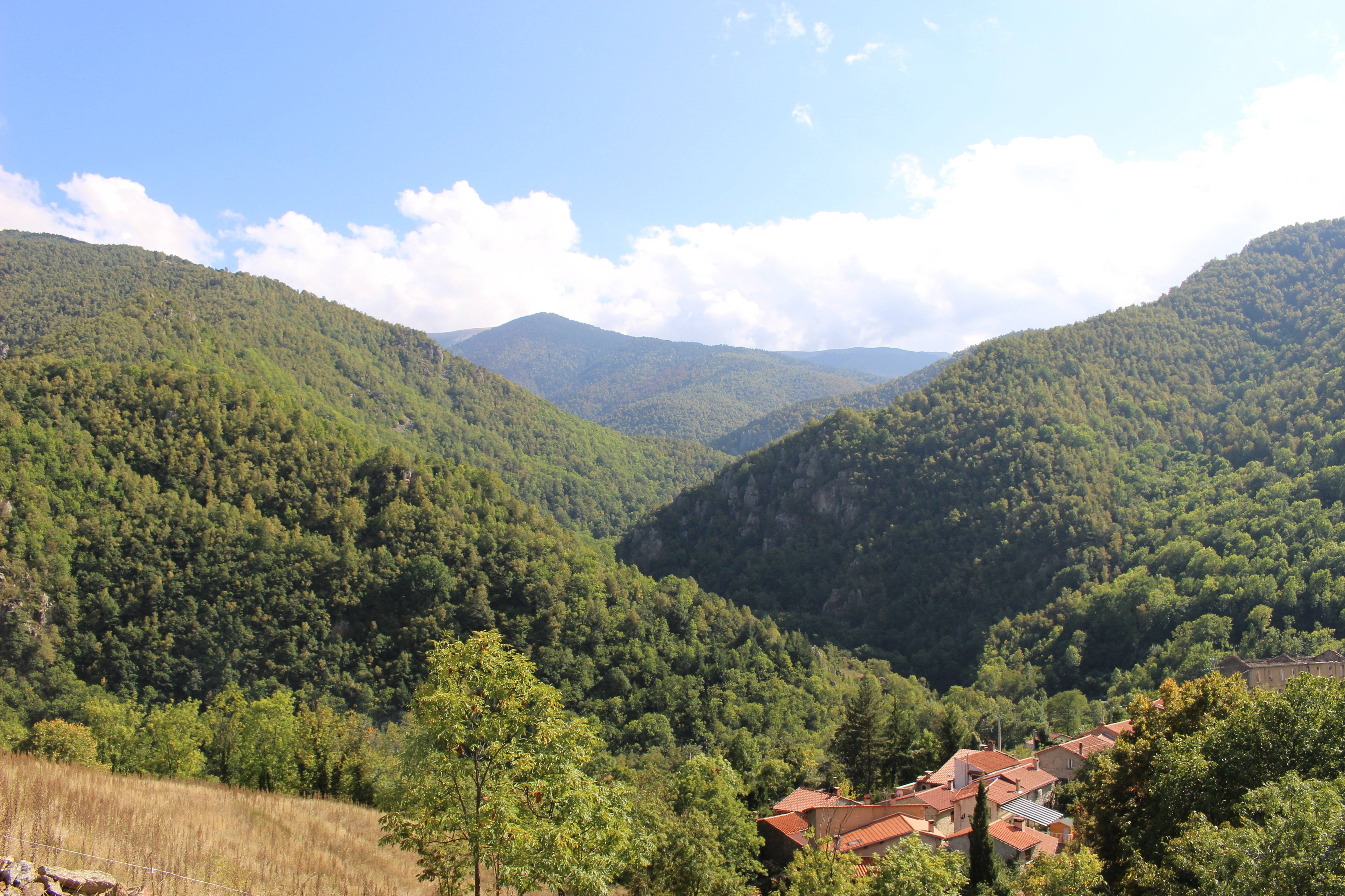 Photo : RESERVE NATURELLE DE PY