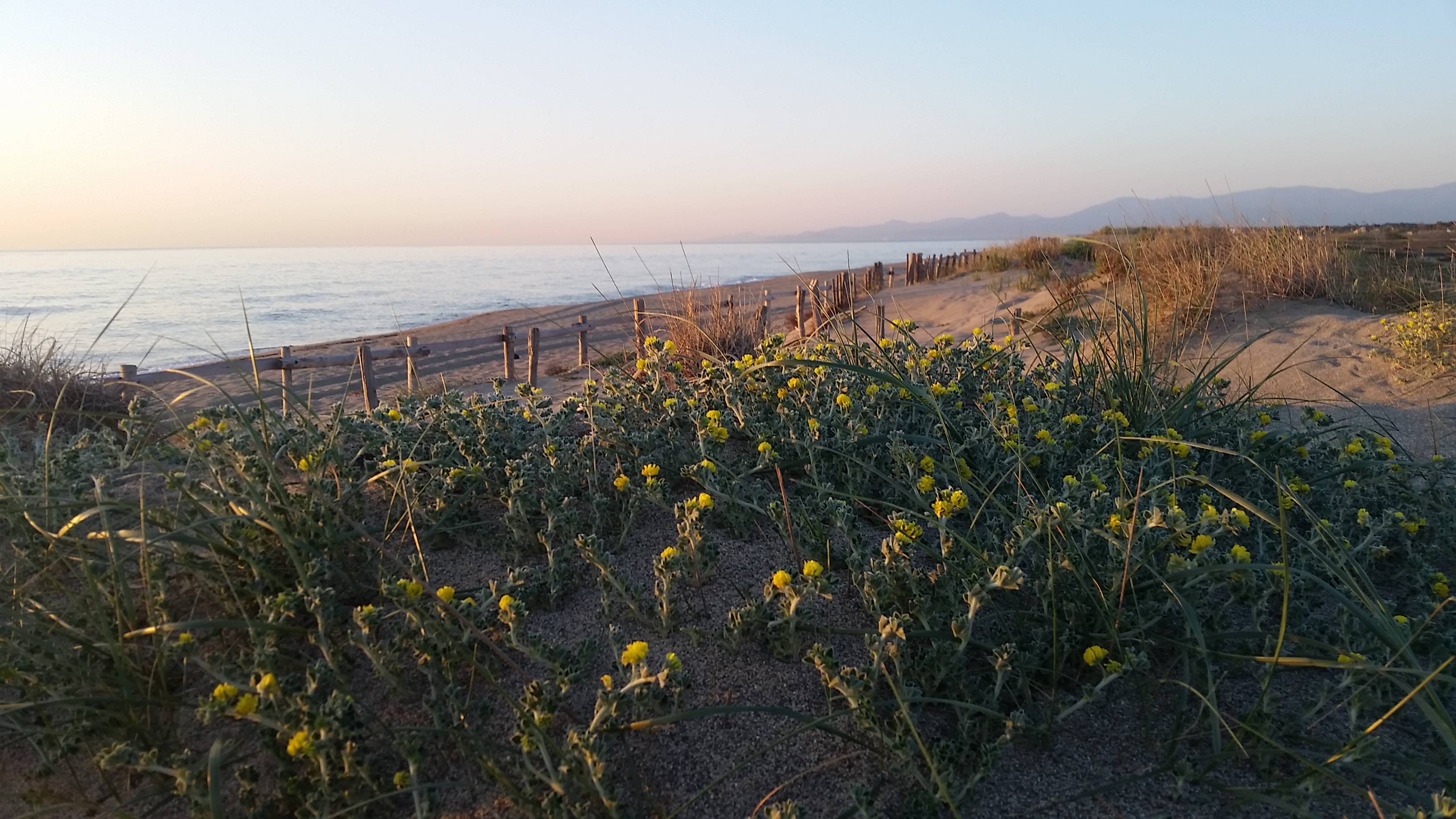 Photo : PLAGE NORD