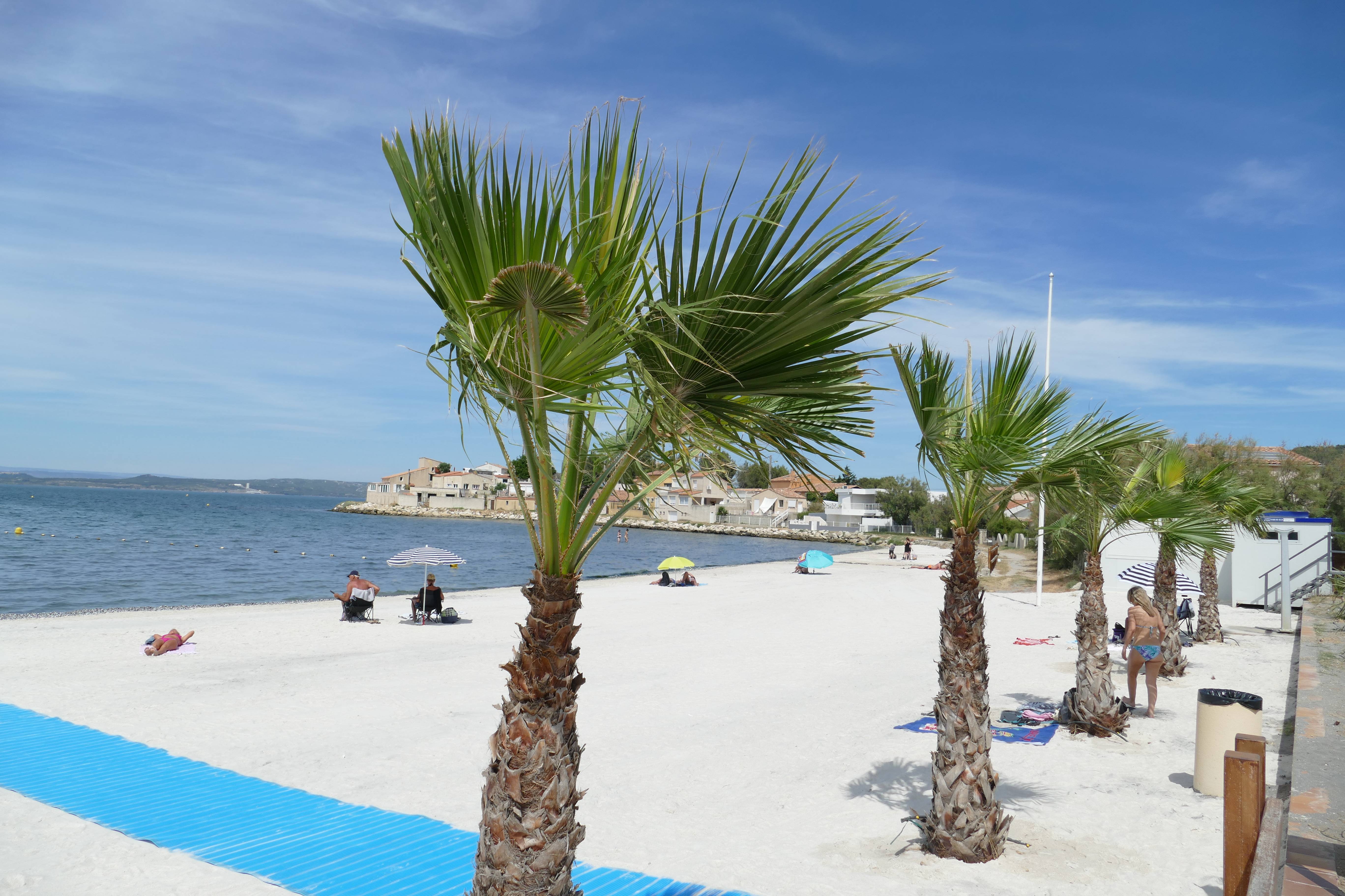 Photo : Plage Massane