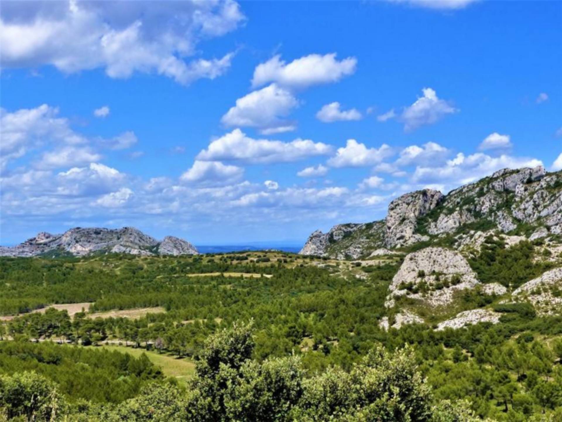 Photo de Arboretum de Badon