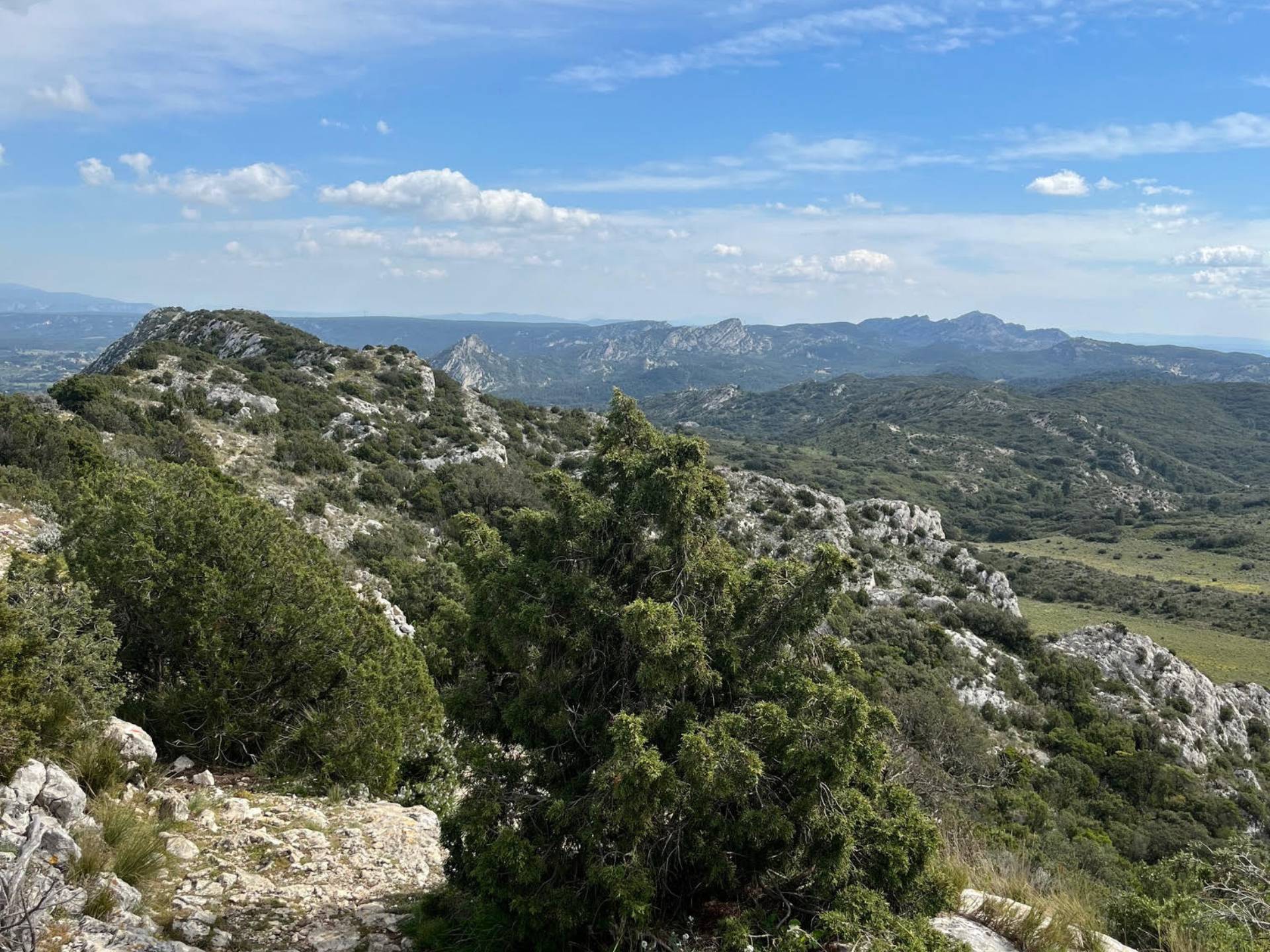 Photo de Les crêtes de Saint-Rémy-de-Provence