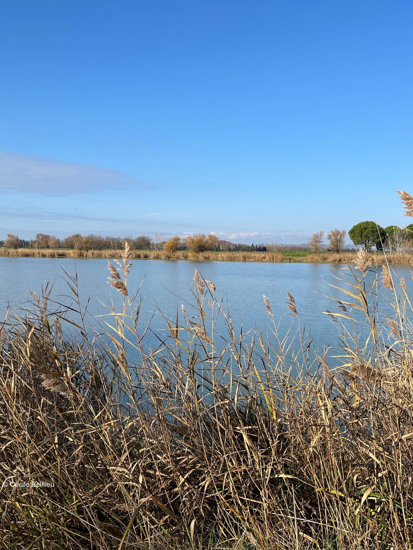 Photo de Lac du Barreau