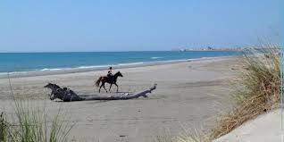 Photo : Plage Napoleon