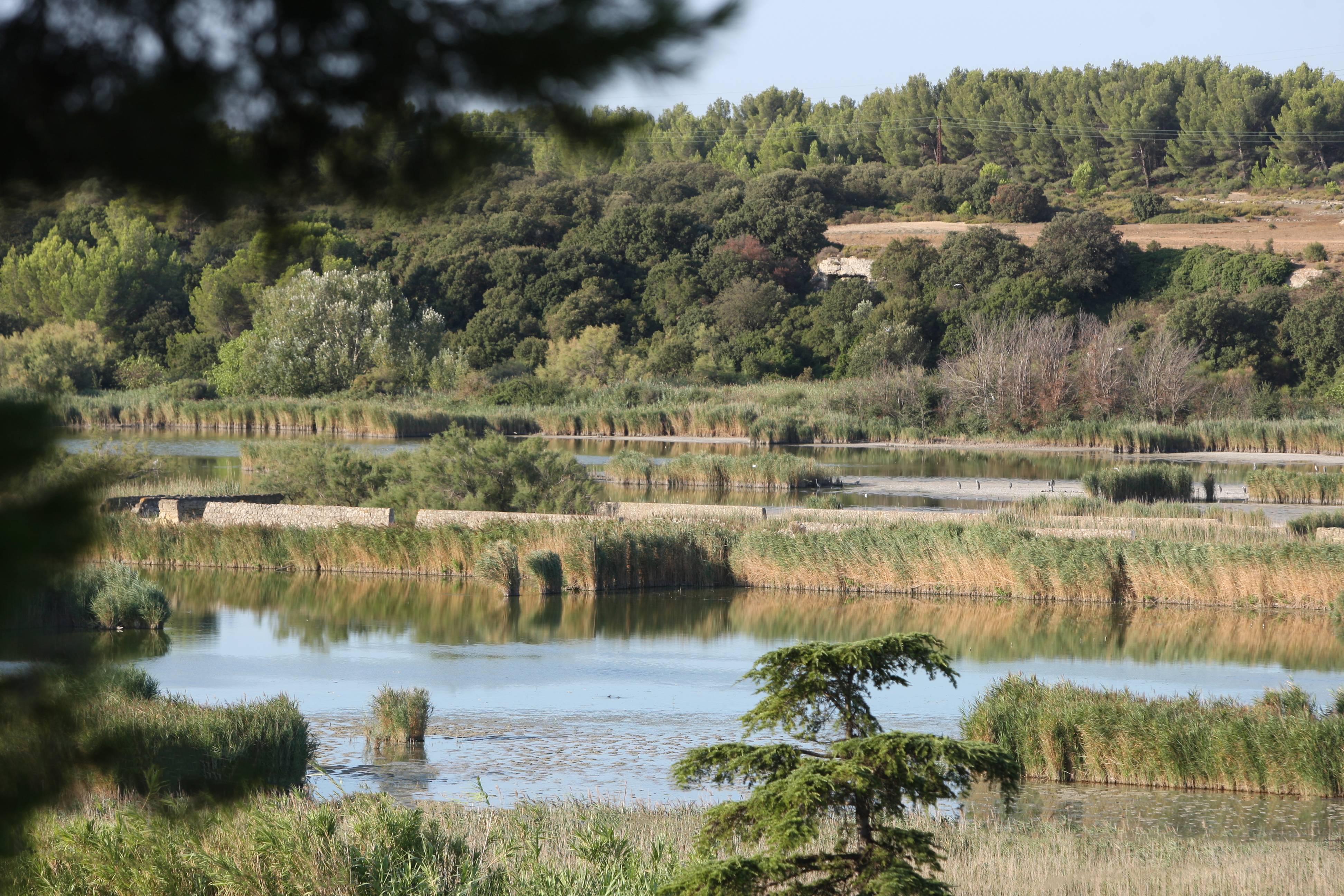 Photo : Etang de Rassuen