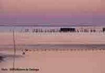 Photo : Etang de Vaccarès