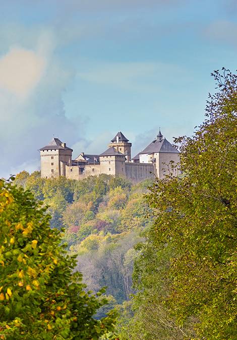 Photo : Château de Malbrouck
