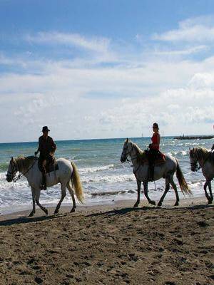 Photo : Plage Crin Blanc