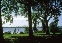 Photo : Etang des Aulnes