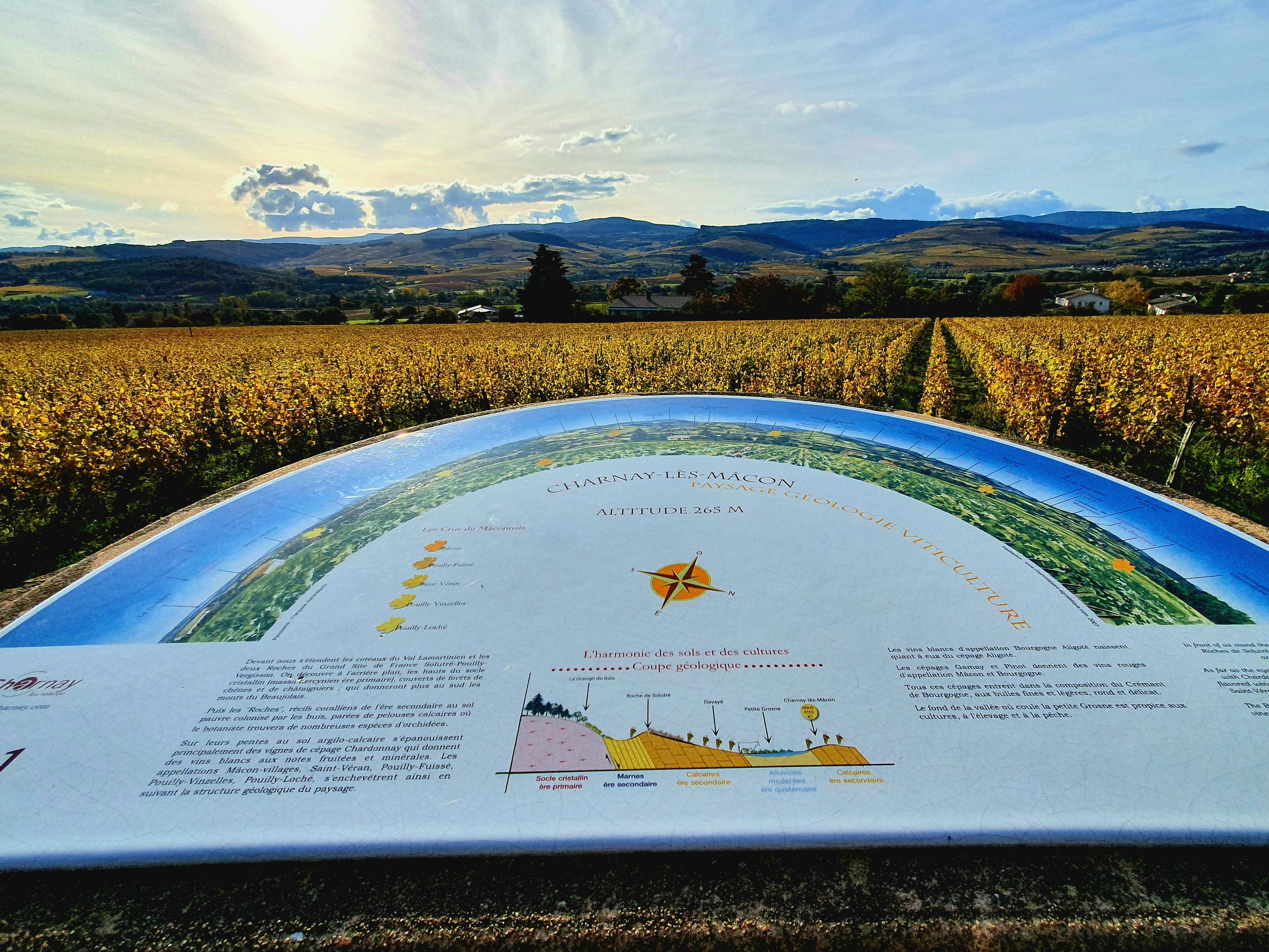 Photo de Panorama de Charnay-lès-Mâcon