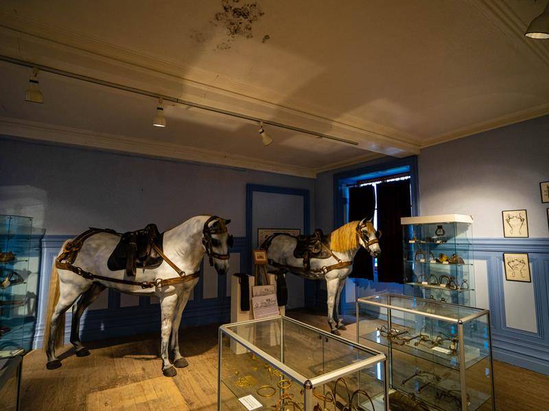 Photo de Musée lorrain du cheval