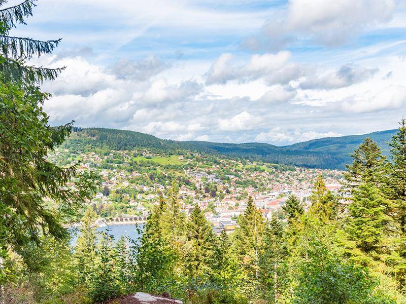 Photo de La roche du renard