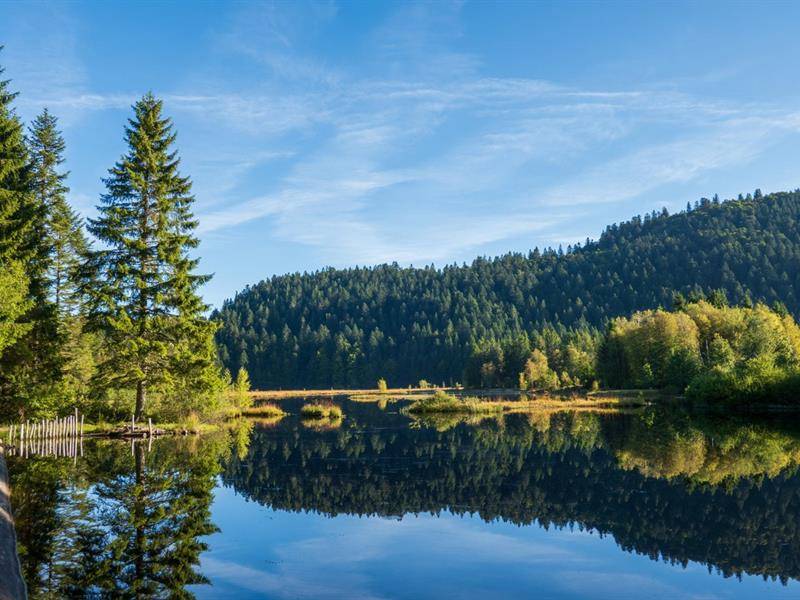 Photo de Le lac de lispach