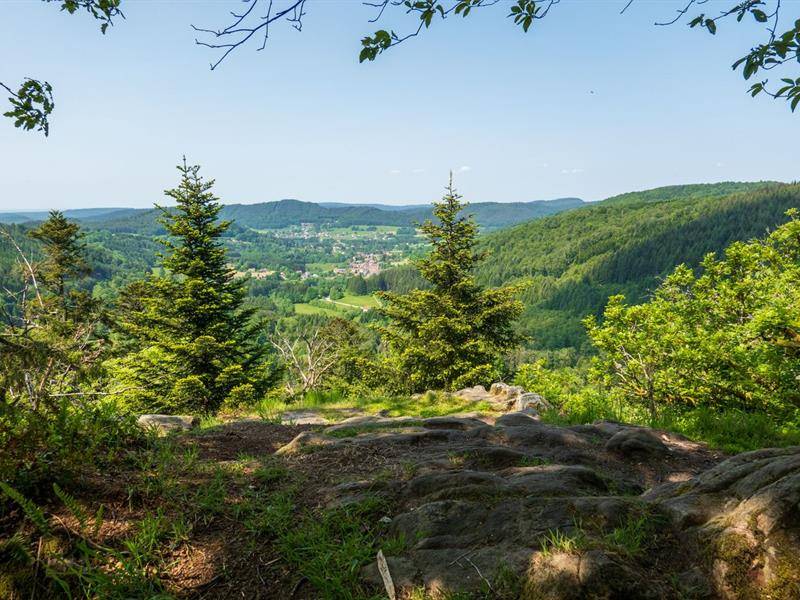 Photo : La roche de la brostille