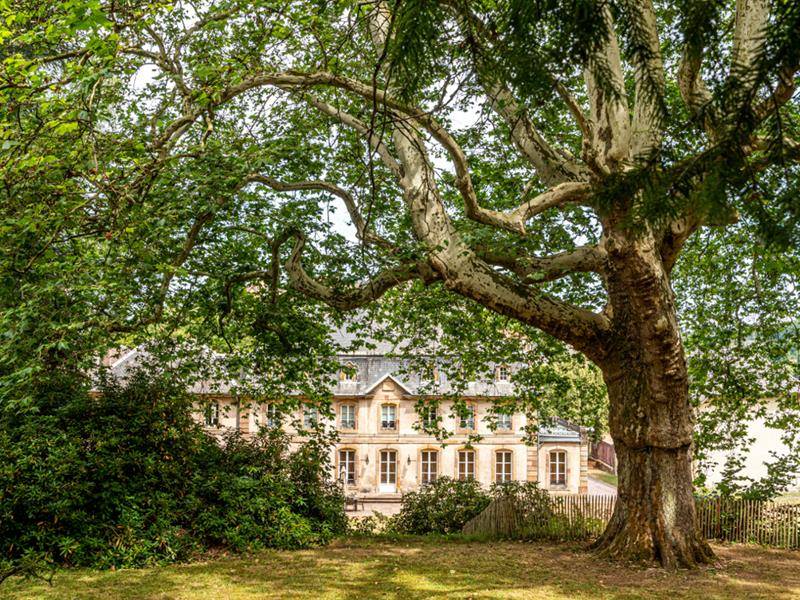 Photo : Parc du Château d'Hausen