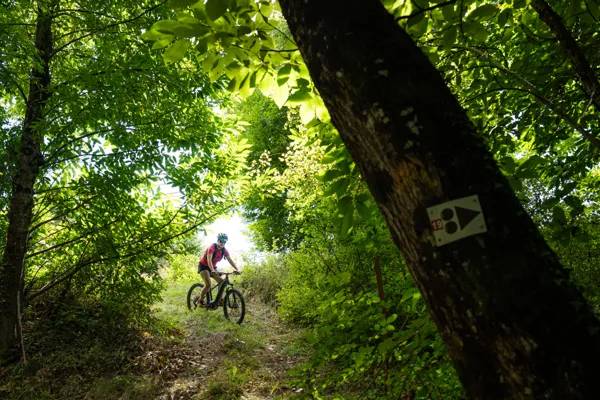 Randonnée : N°18 VTT - Se mettre au vert