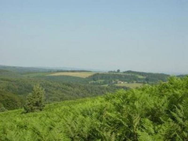Randonnée : Sentier d'interprétation des landes de Gioux