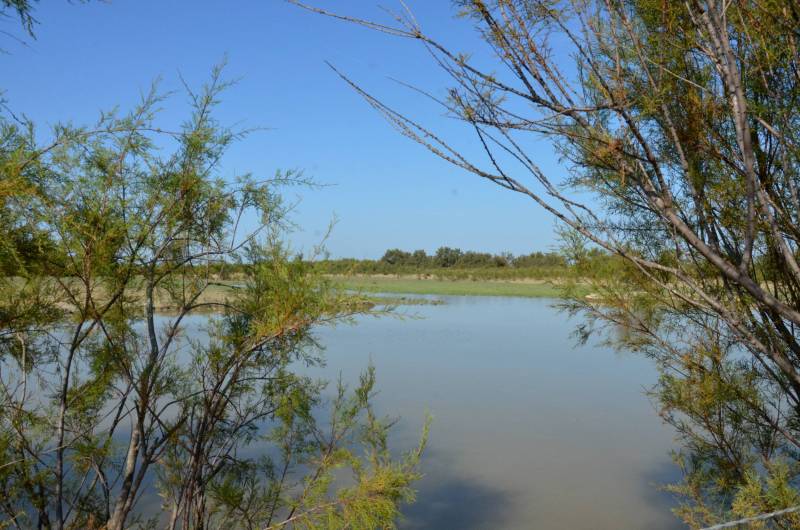 Randonnée : ARLES - Au cœur des marais du Verdier