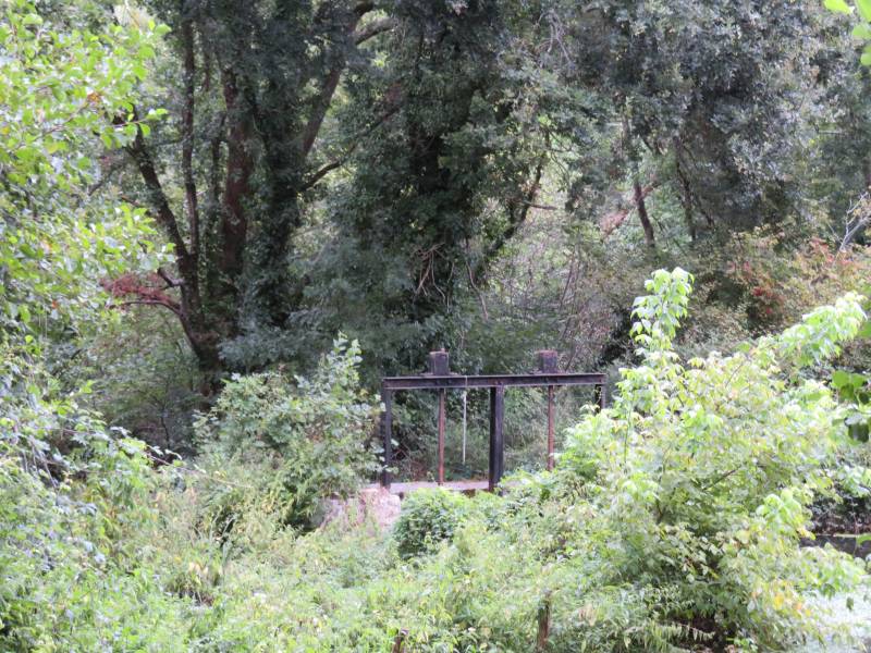 Randonnée : Balade à roulettes : Bois du Dehès - Impraticable