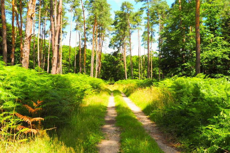 Randonnée : Dun le Poelier La Marivolle