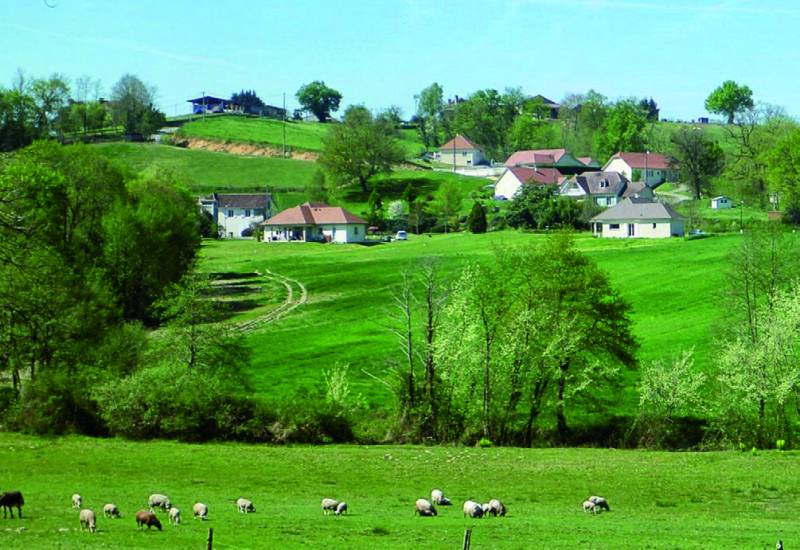 Randonnée : Autour de Sauvelade