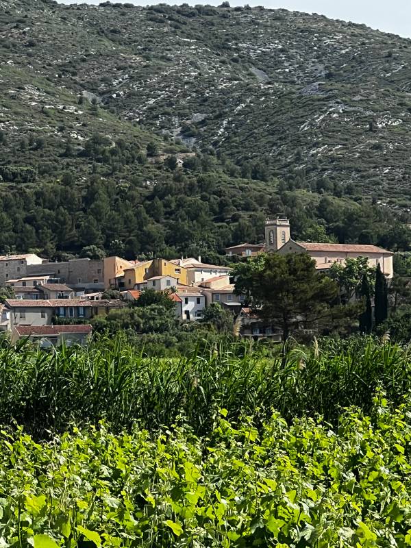 Randonnée : Randonnée au Domaine Capitaine Danjou