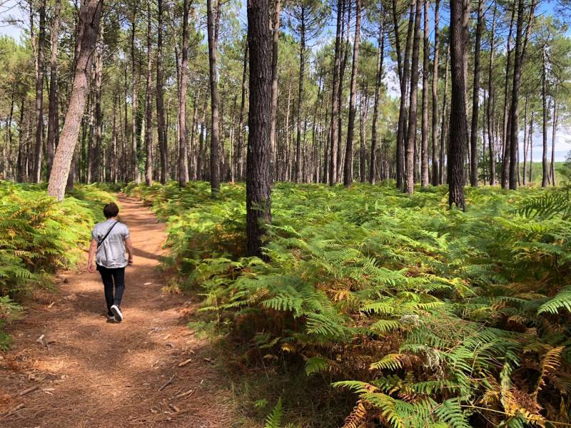 Randonnée : A Vieux-Boucau, sentier Lous Tucs