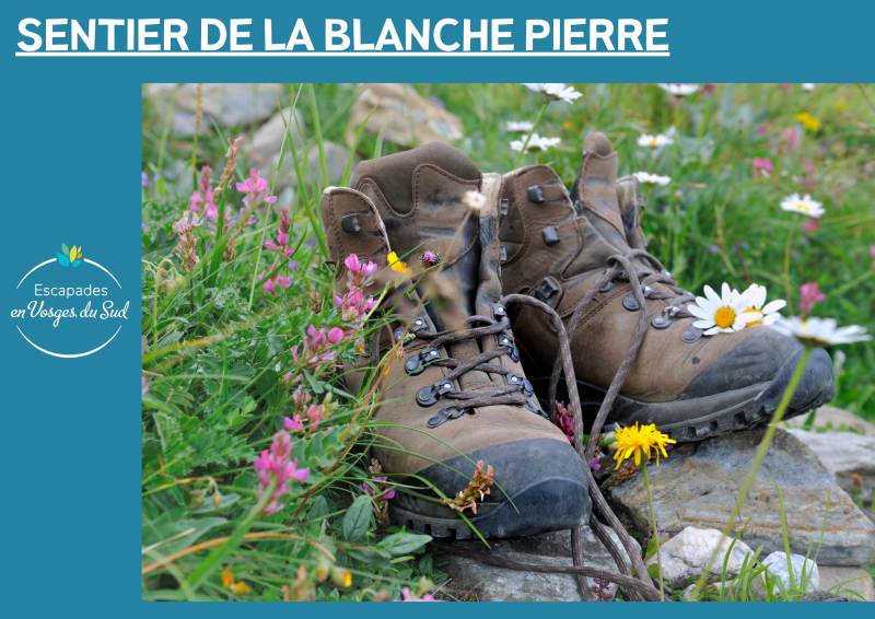 Randonnée : SENTIER DE LA BLANCHE PIERRE