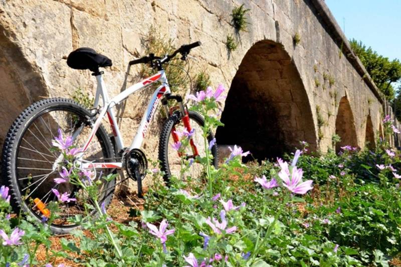 Randonnée : ARLES - Autour du canal de Craponne à vélo
