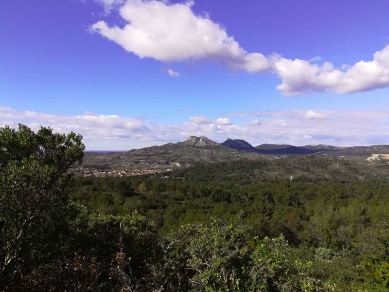 Randonnée : LAMANON - Autour de Calès