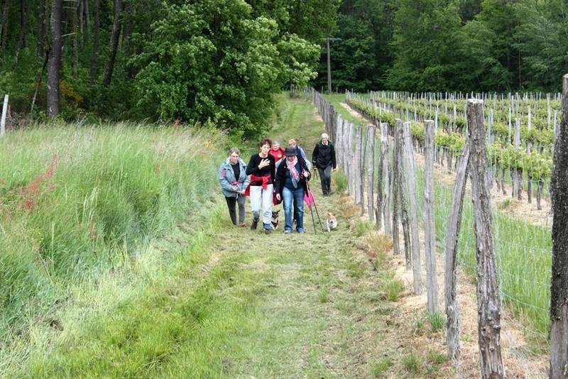 Randonnée : Boucle du Talley à Montignac