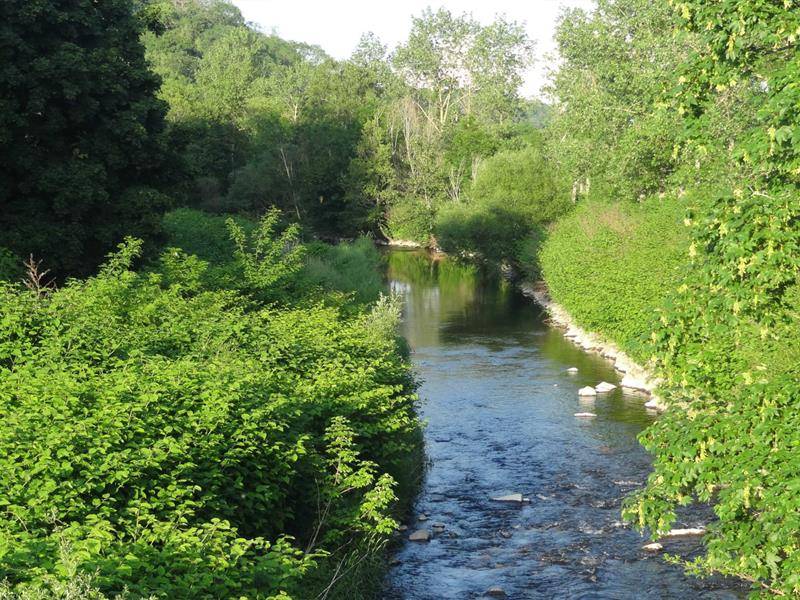 Randonnée : Marche santé Sentheim, sentier de la Doller