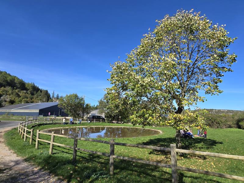 Randonnée : GRAVEL AU CŒUR DU CAUSSE