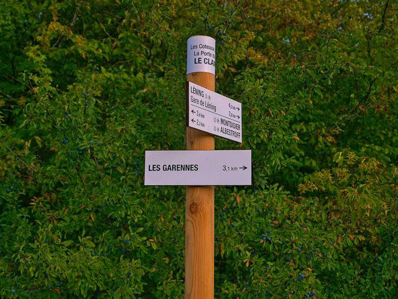 Randonnée : Liaison boucle de Sainte-Anne - les coteaux d'Albestroff