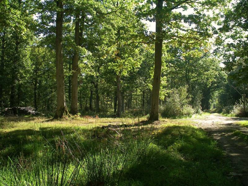 Randonnée : Entre Cingal et Vallée de l'Orne