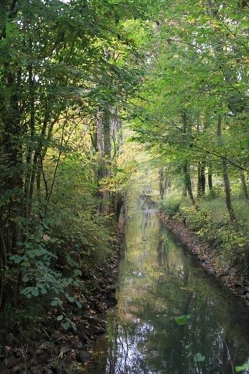 Randonnée : Belle balade de La Francheville à St Marceau - Bord de Vence