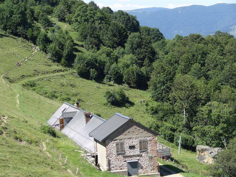 Randonnée : Trail - Moosch les trois fermes auberges