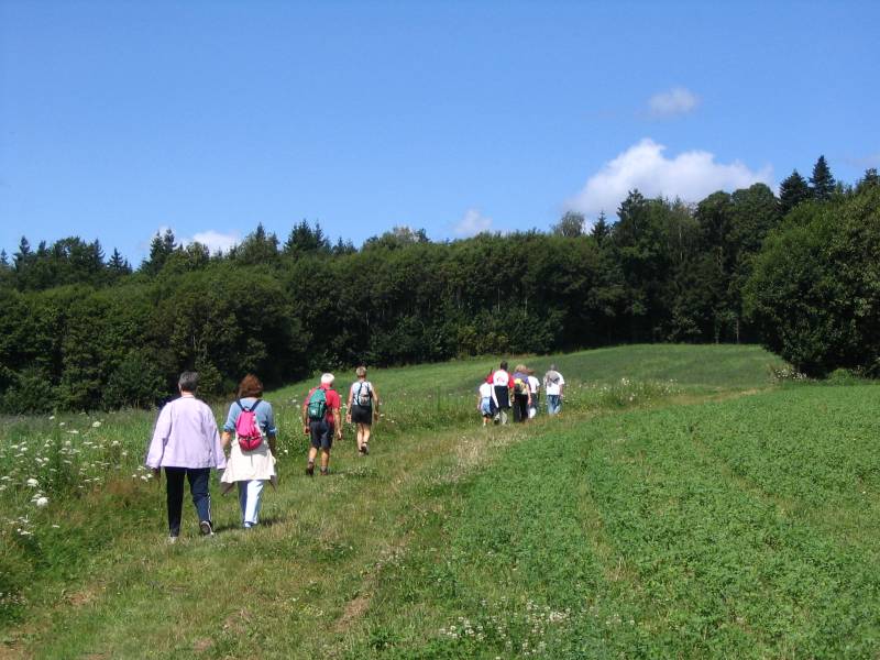 Randonnée : Marche Nordique du Grand Puyconnieux