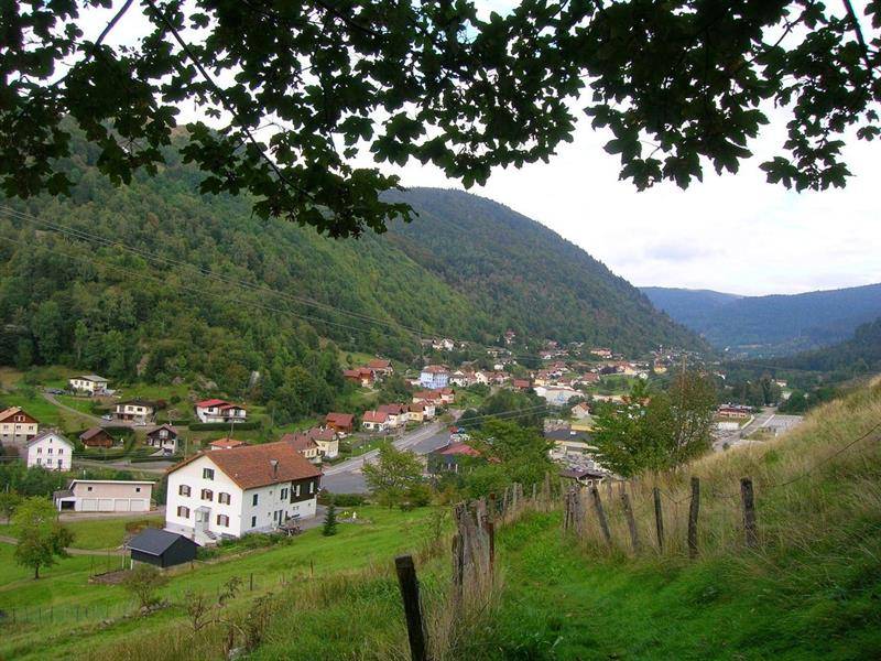 Randonnée : Arboretum de La Bresse
