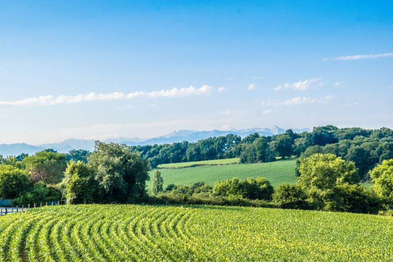 Randonnée : Beyrie-en-Béarn - Promenade autour de Beyrie